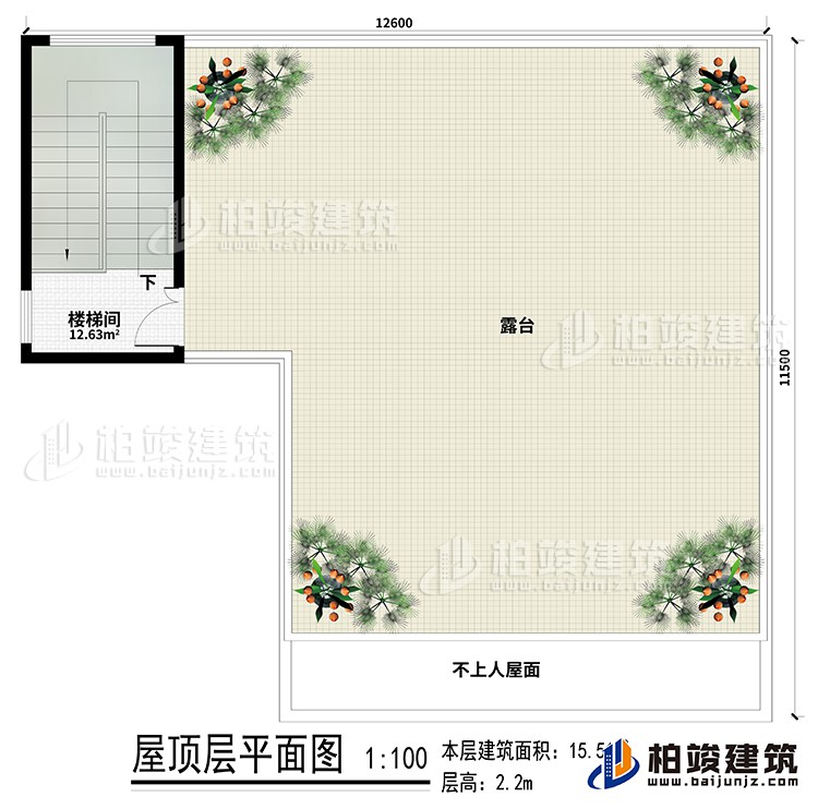 房頂：樓梯間、露臺